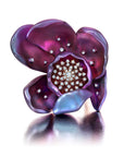 Large Purple Titanium Orchid Ring
