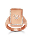 Rectangle Paw Pill Box Ring