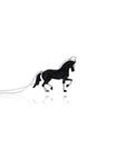 Black Diamond Dressage Necklace
